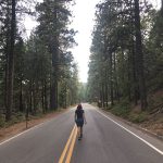 Yosemite National Park