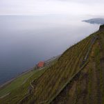 Chexbres Lake Geneva Switzerland