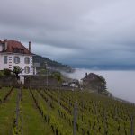 Chexbres Lake Geneva Switzerland