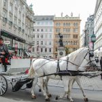 Vienna travel Guide