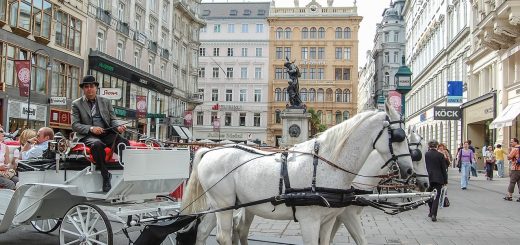 Vienna travel Guide