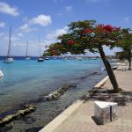 Kaya J E Craane, Bonaire
