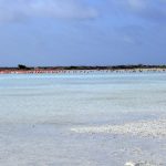 Washington Slagbaai National Park, Bonaire