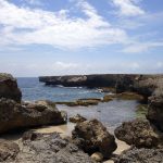 Washington Slagbaai National Park, Bonaire