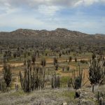 Washington Slagbaai National Park, Bonaire