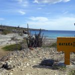 Washington Slagbaai National Park, Bonaire