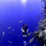 Katie Scuba Diving Bonaire and Curacao