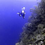 Katie Scuba Diving Bonaire and Curacao