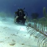 Katie Scuba Diving Bonaire and Curacao