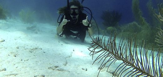Katie Scuba Diving Bonaire and Curacao