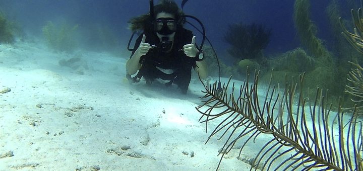 Katie Scuba Diving Bonaire and Curacao