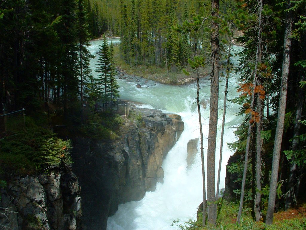 Sunwapta Falls, Jasper National Park