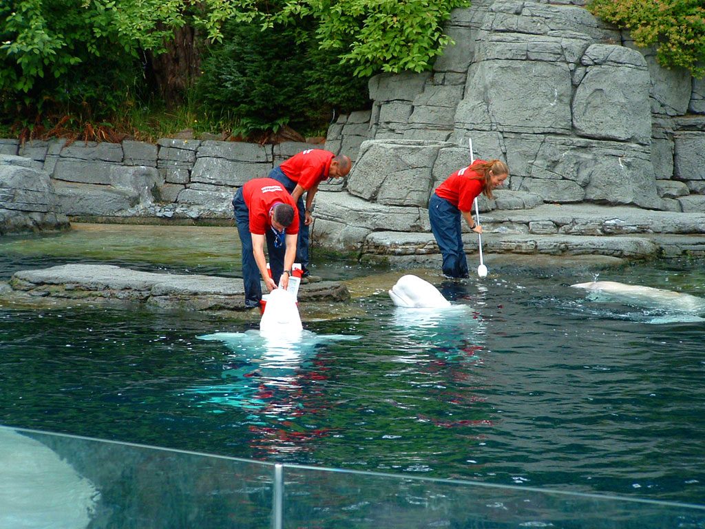 Vancouver Aquarium British Columbia, Canada