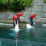 Vancouver Aquarium British Columbia, Canada