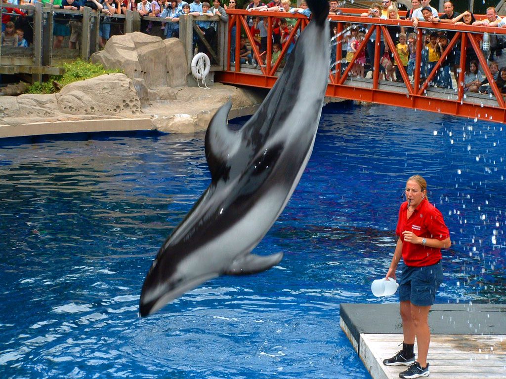 Vancouver Aquarium British Columbia, Canada
