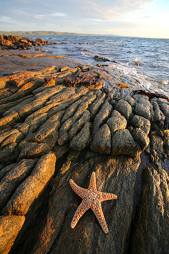 destination-australia13