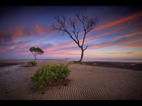 destination-australia24