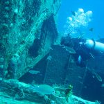 Scuba Diving at St. George ShipWreck, Bayahibe. Dominican Republic