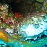 Scuba Diving at St. George ShipWreck, Bayahibe. Dominican Republic