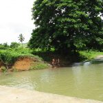 Rural areas and Forest, Dominican Republic