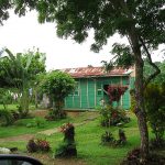 Rural areas and Forest, Dominican Republic