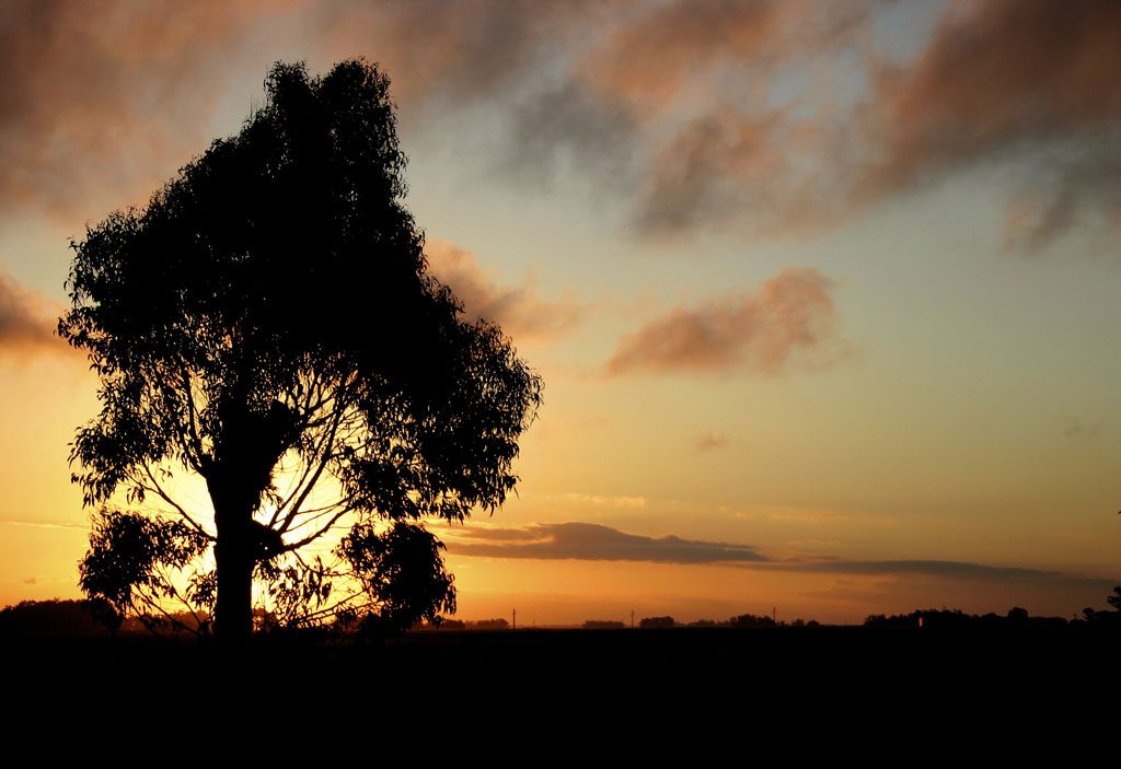 Sunset at Mar Chiquita's country side, Argentina