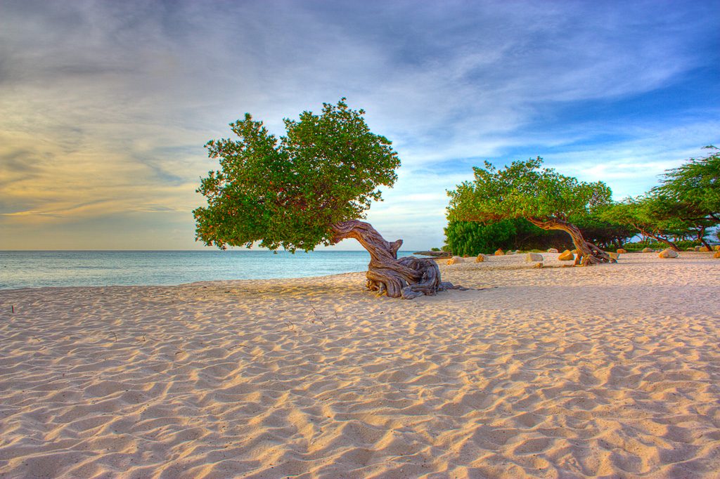 destination_aruba1