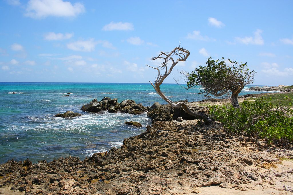 destination_aruba28