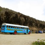 Island Bus Tour