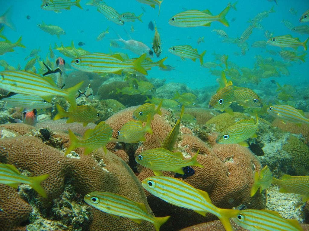 destination_aruba71