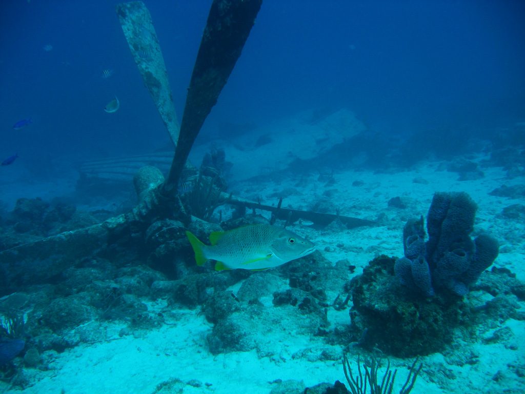 destination_aruba72