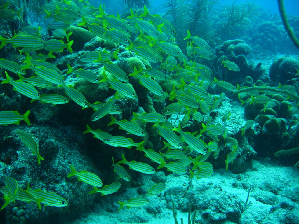 destination_aruba74