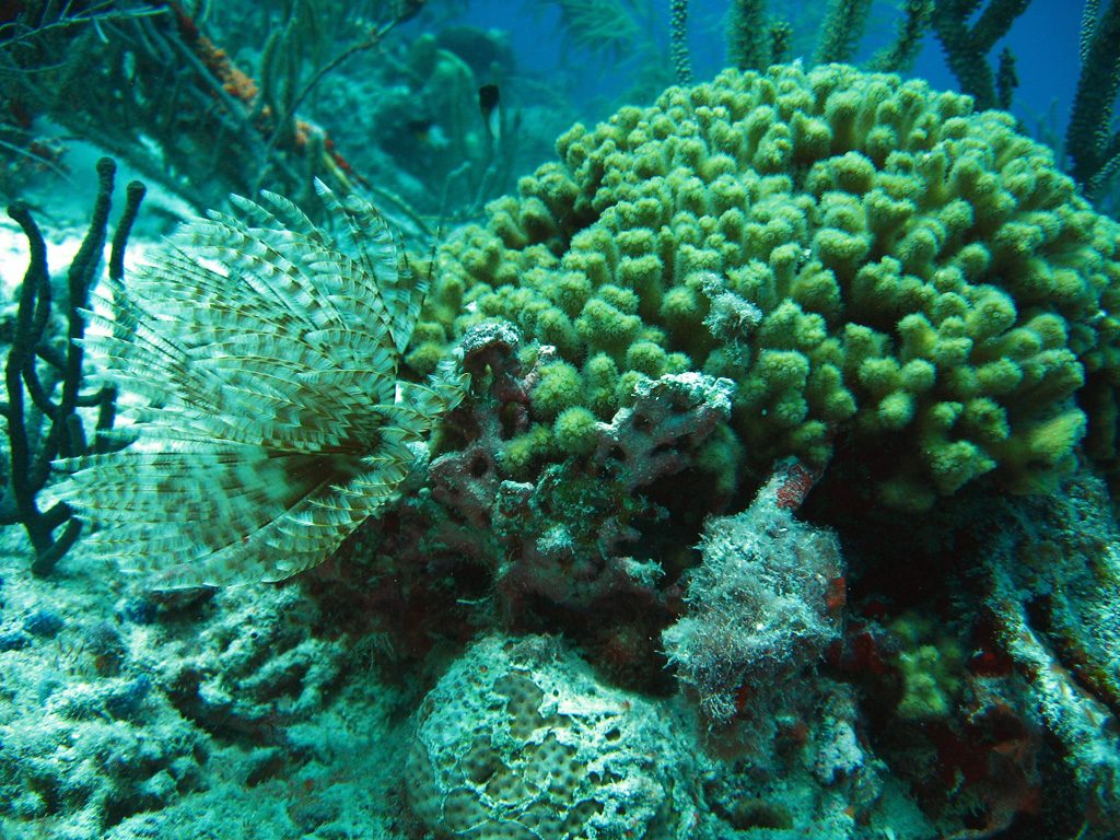 destination_aruba75