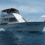 Scuba diving boat