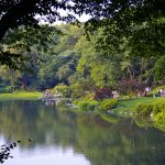 Central Park, New York City