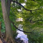 Bronx Zoo, New York