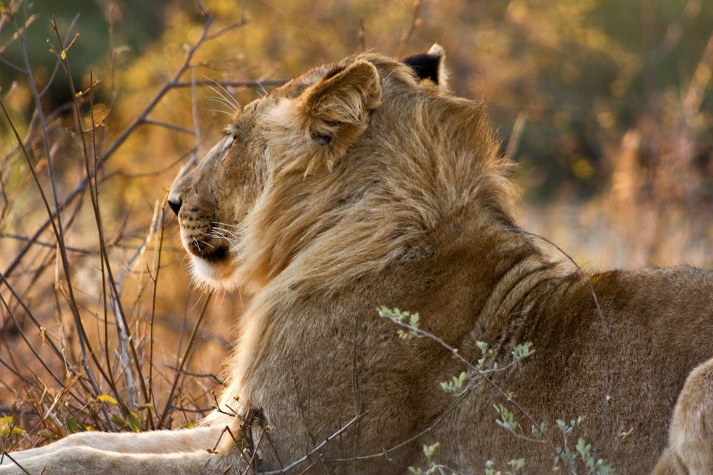 destination_south_africa18