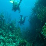 Scuba Diving at Tortola