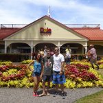 Dole plantation, Oahu