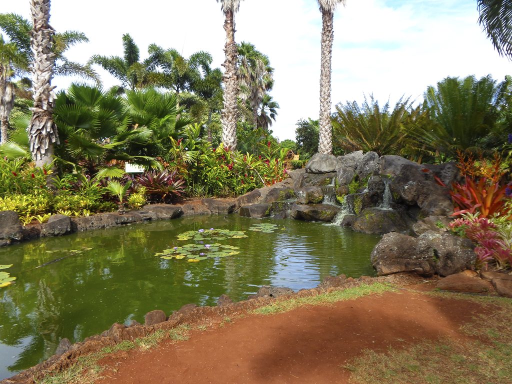 Dole plantation, Oahu