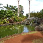 Dole plantation, Oahu