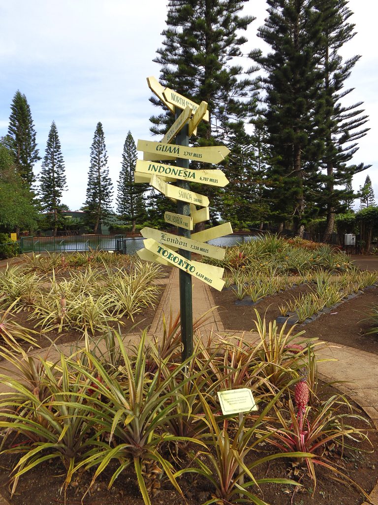 Dole plantation, Ohau