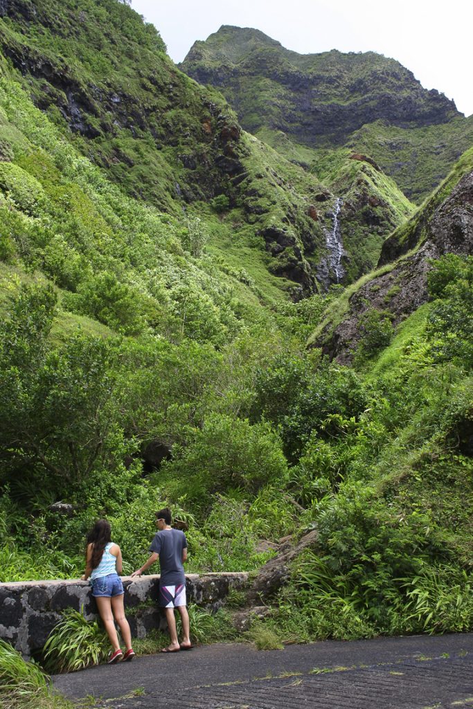 Nuuanu Pali State Wayside, Oahu