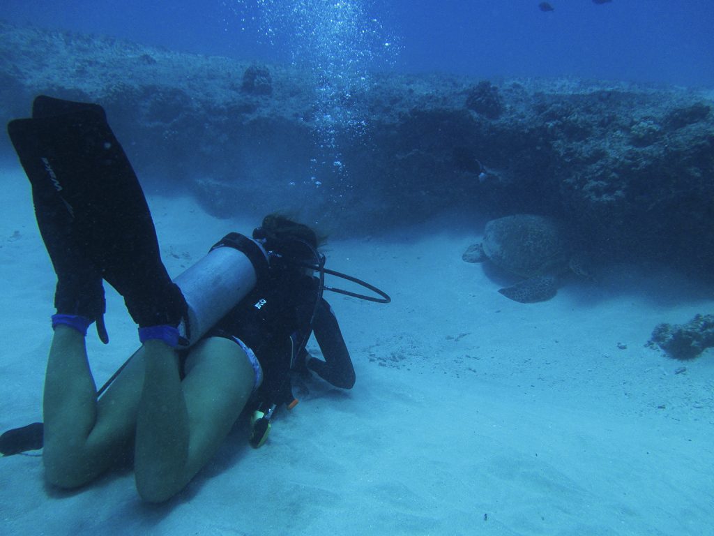 Scuba Diving at Turtle Canyon, Oahu