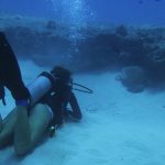 Scuba Diving at Turtle Canyon, Oahu