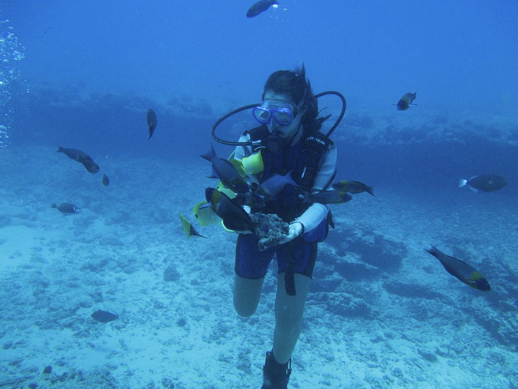 Scuba Diving at Turtle Canyon, Oahu