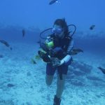 Scuba Diving at Turtle Canyon, Oahu