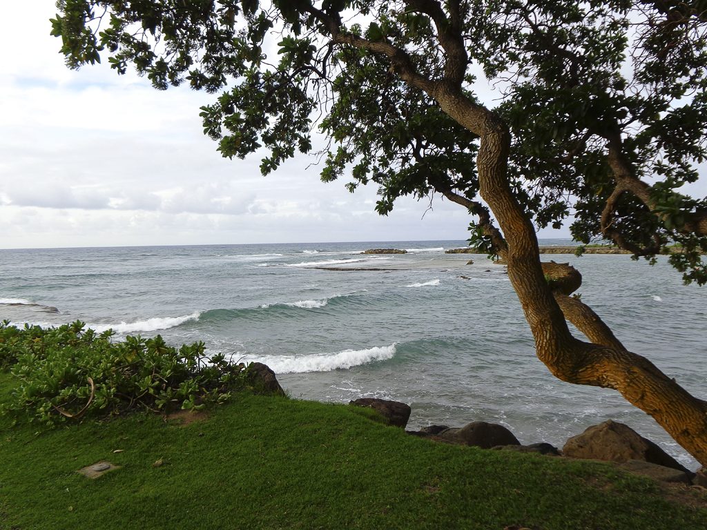 Turtle bay, Oahu