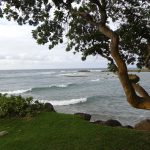 Turtle bay, Oahu