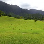 Valley of the Temples Memorial Park, Oahu